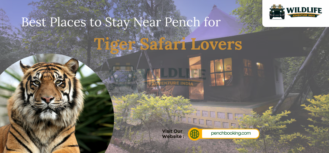 Best Places to Stay Near Pench for Tiger Safari Lovers