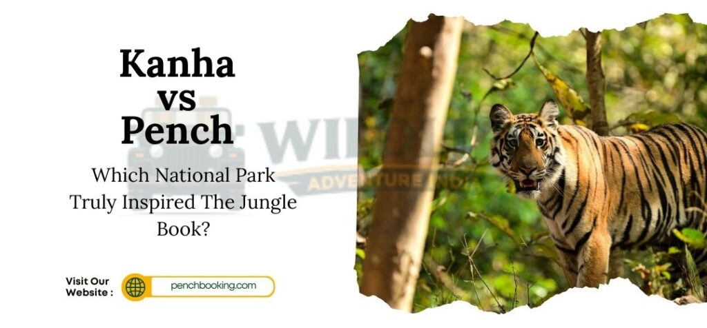 Kanha vs Pench: Which National Park Truly Inspired The Jungle Book?