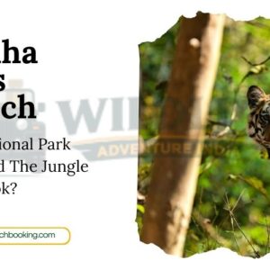 Kanha vs Pench: Which National Park Truly Inspired The Jungle Book?