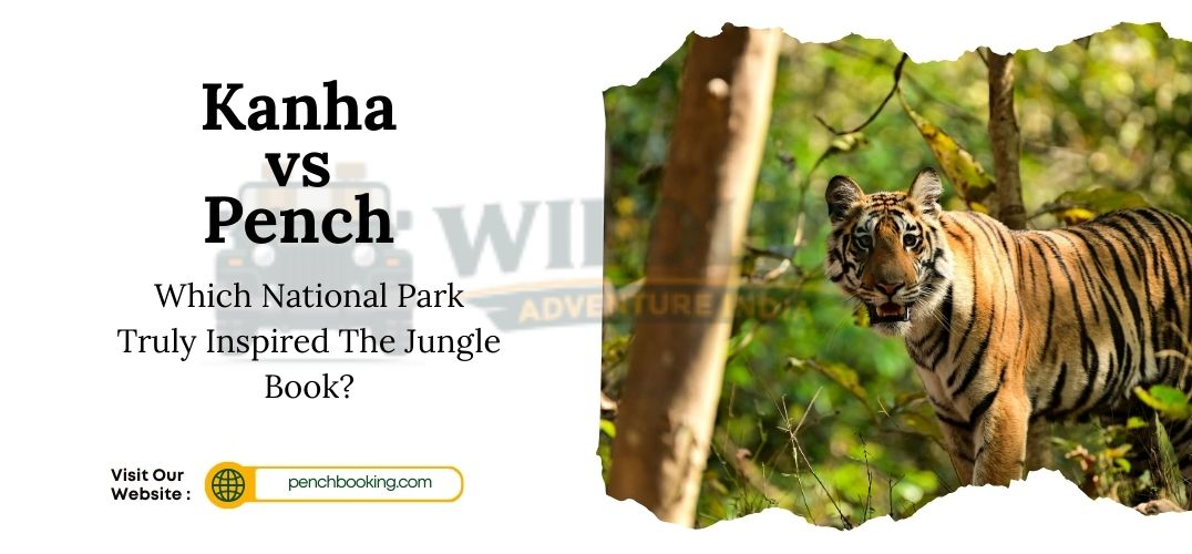 Kanha vs Pench: Which National Park Truly Inspired The Jungle Book?