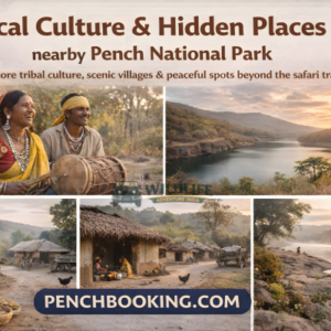 Local Culture & Hidden Places nearby Pench National Park