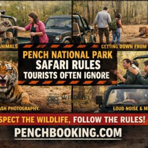 Pench National Park Safari Rules Tourists Often Ignore
