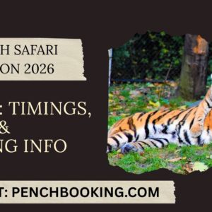 Pench Safari Season
