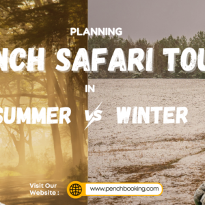 Planning a Pench Safari Tour in Summer vs Winter Season