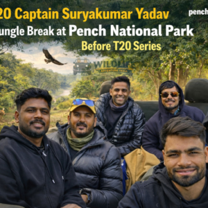India T20 Captain Suryakumar Yadav Takes a Jungle safari at Pench National Park Before T20 Series