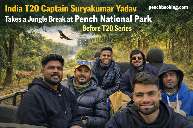 India T20 Captain Suryakumar Yadav Takes a Jungle safari at Pench National Park Before T20 Series