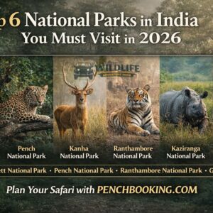Top National Parks in India