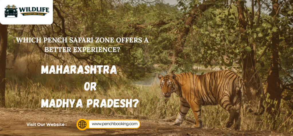 Pench’s Safari Zones Is Better? Maharashtra or Madhya Pradesh?
