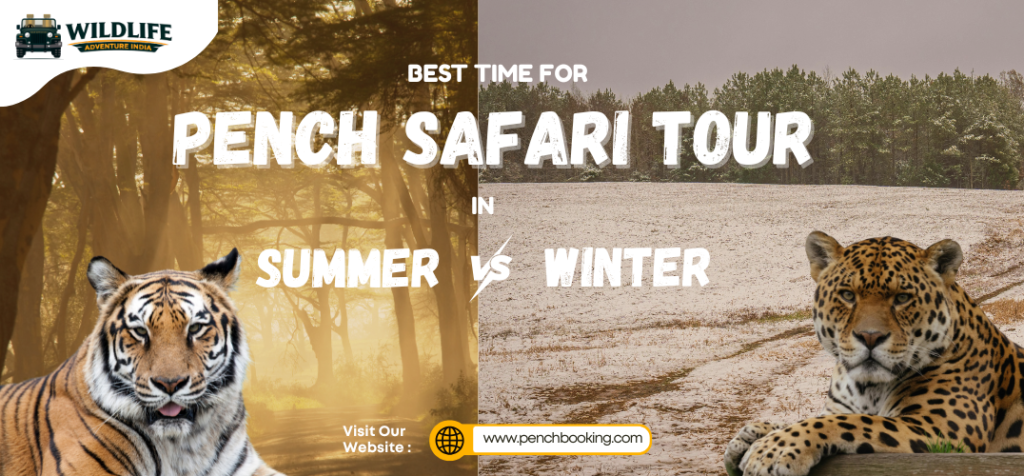 Planning a Pench Safari Tour in Summer vs Winter Season