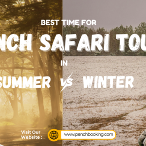 Planning a Pench Safari Tour in Summer vs Winter Season