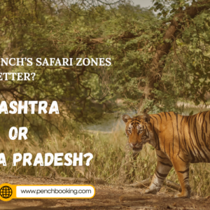 Pench’s Safari Zones Is Better? Maharashtra or Madhya Pradesh?