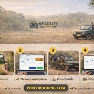 How to book Pench National Park Safari Online guide step by step