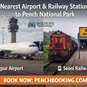 Nearest Airport & Railway Station to Pench National Park