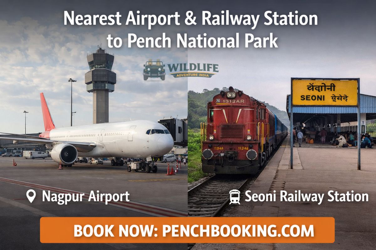 Nearest Airport &amp; Railway Station to Pench National Park