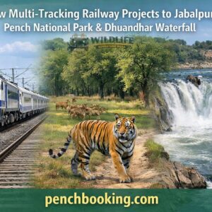 New multi-tracking railway projects to Jabalpur, Pench National Park & Dhuandhar Waterfall