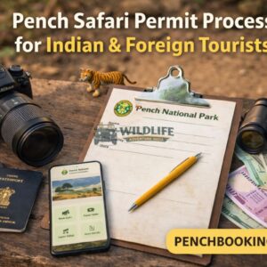 Pench Safari Permit Process for Indian & Foreign Tourists
