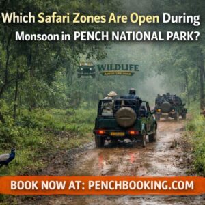 Which Safari Zones Are Open During Monsoon in Pench National Park?