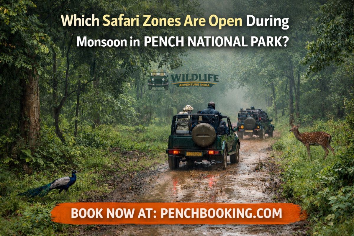 Which Safari Zones Are Open During Monsoon in Pench National Park?