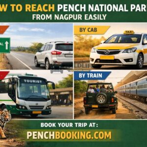 How to Reach Pench National Park from Nagpur Easily