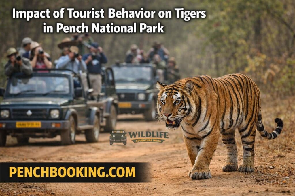 Impact of Tourist Behavior on Tigers in Pench National Park