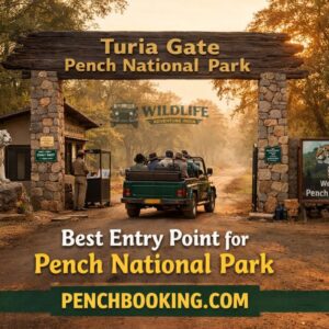 Turia Gate Safari Guide Best Entry Point for Pench National Park