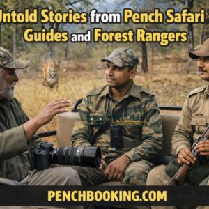 Untold Stories from Pench Safari Guides and Forest Rangers