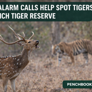How Alarm Calls Help Spot Tigers in Pench Tiger Reserve