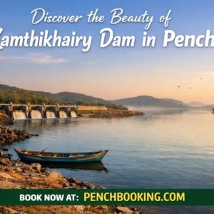 Discover the Beauty of Kamthikhairy Dam in Pench National Park