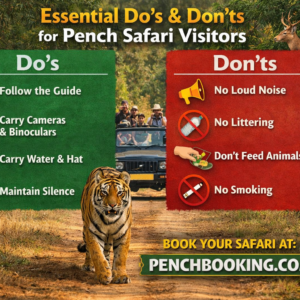 Essential Do’s and Don’ts for Pench Safari Visitors