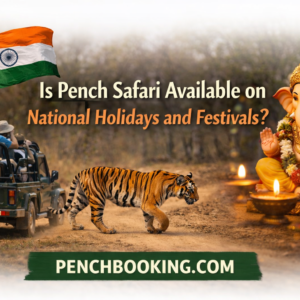 Is Pench Safari Available on National Holidays and Festivals