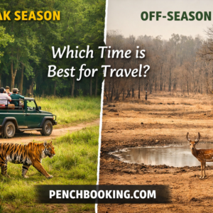 Peak vs Off-Season in Pench National Park Which Time is Best for Travel