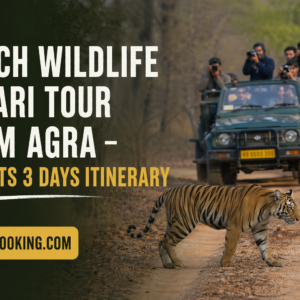 Pench Wildlife Safari Tour from Agra – 2 Nights 3 Days Itinerary