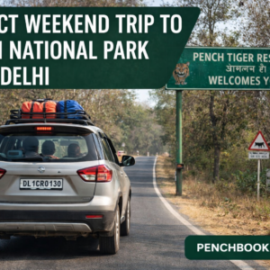 Perfect Weekend Trip to Pench National Park from Delhi