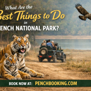 What Are the Best Things to Do in Pench National Park