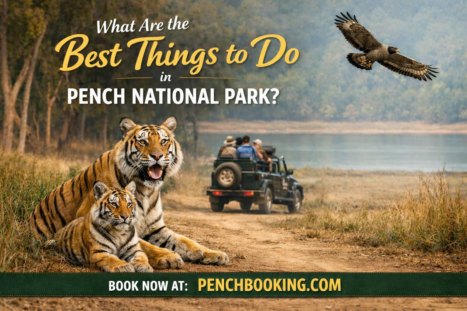 What Are the Best Things to Do in Pench National Park?