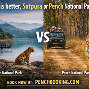 What is better, Satpura or Pench National Park