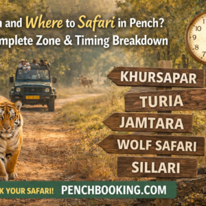 When and Where to Safari in Pench Complete Zone & Timing Breakdown