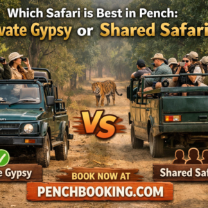 Which Safari is Best in Pench Private Gypsy or Shared Safari