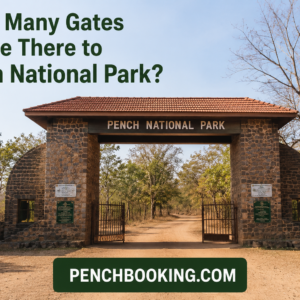 How Many Gates Are There to Pench National Park