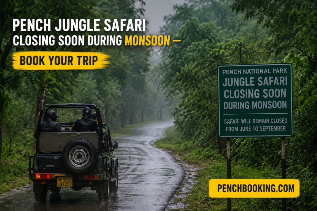 Pench Jungle Safari Closing Soon During Monsoon — Book Your Trip