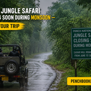 Pench Jungle Safari Closing Soon During Monsoon — Book Your Trip