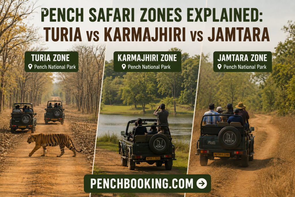 Pench Safari Zones Explained Turia vs Karmajhiri vs Jamtara