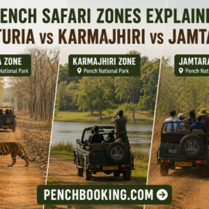 Pench Safari Zones Explained Turia vs Karmajhiri vs Jamtara