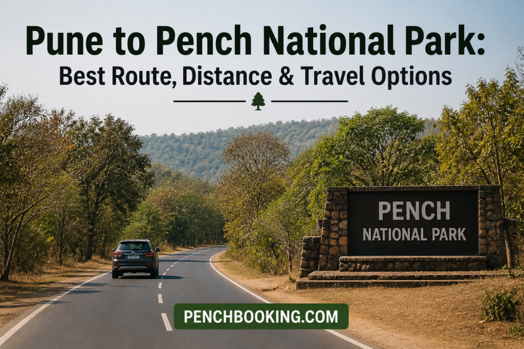 Pune to Pench National Park Best Route, Distance & Travel Options