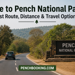 Pune to Pench National Park Best Route, Distance & Travel Options