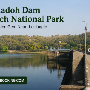 Totladoh Dam Pench National Park – A Hidden Gem Near the Jungle