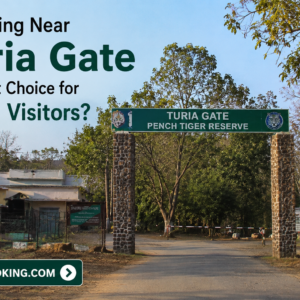 Is Staying Near Turia Gate the Best Choice for Pench Visitors