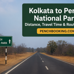Kolkata to Pench National Park Distance, Travel Time & Route Details