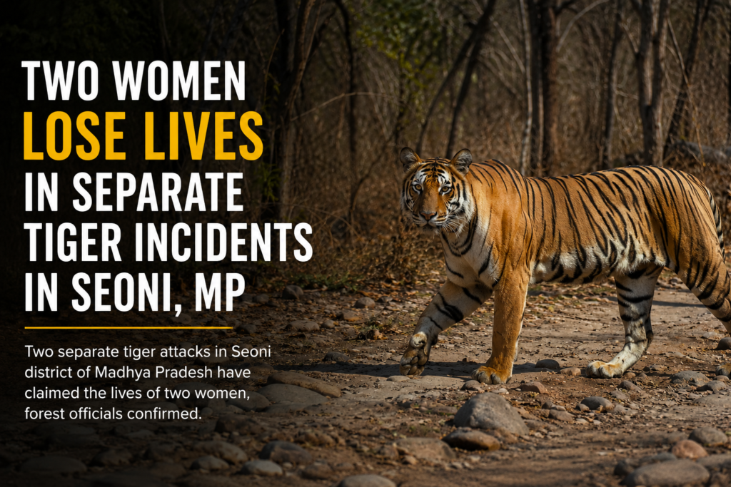 Two Women Lose Lives in Separate Tiger Incidents in Seoni, MP 