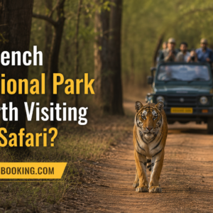Is Pench National Park Worth Visiting for Safari